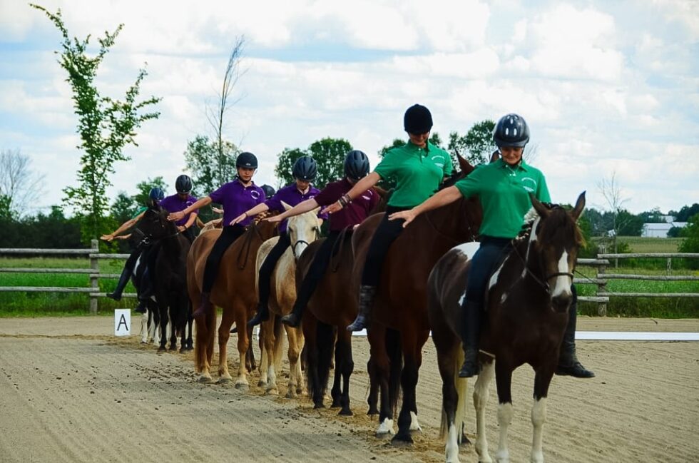 Riding Camps - White Forest Farm Equestrian Center